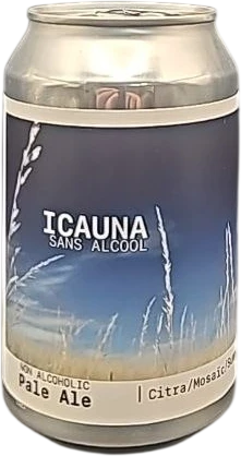 Popihn - Icauna Sans Alcool 33cl