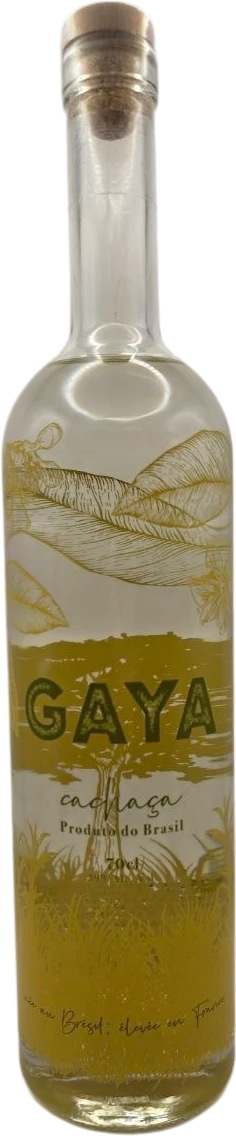 Gaya - Jequitibá