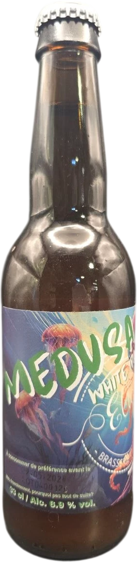 Brasserie Ellipsys - Medusa 33cl